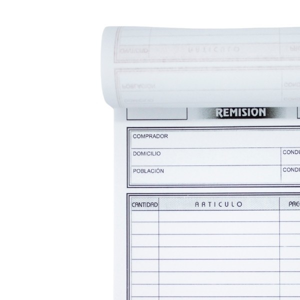 REMISION ESQUELA TRIPLICADO 81H. SEGURIDAD R-6 E.100